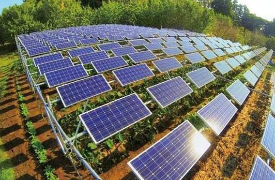 建設(shè)農(nóng)光互補(bǔ)光伏電站有什么好處？