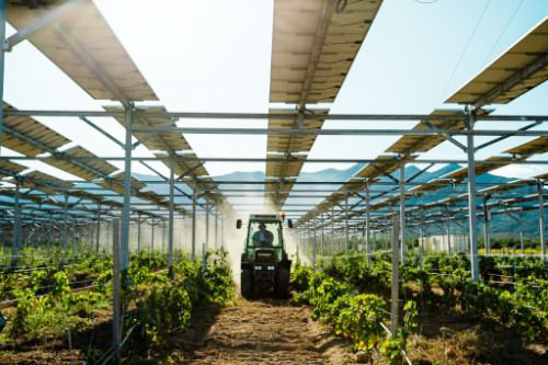 農光互補光伏支架系統助力推廣光伏農業(yè)產品