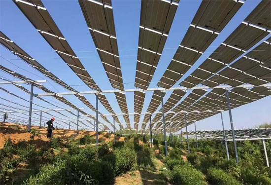 農光互補和林光互補有什么區(qū)別？